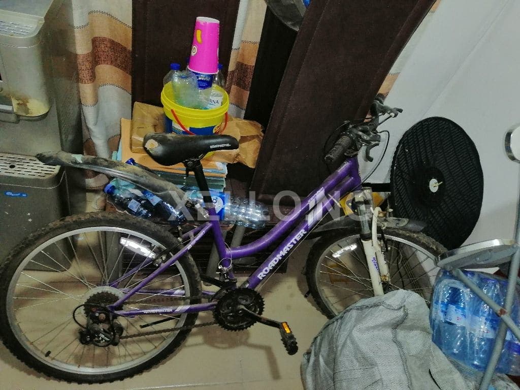 16in mountain bike